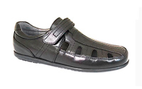 24568-1 капика